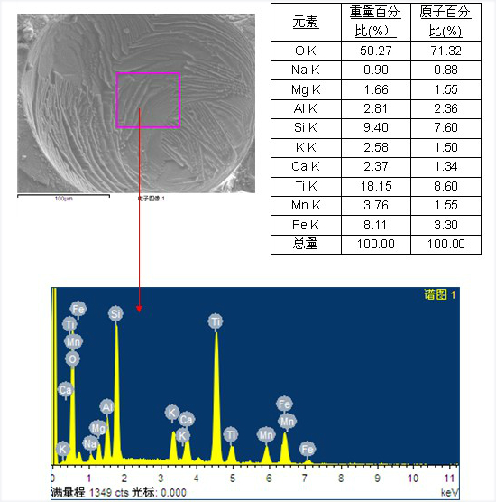 熔渣和焊縫中夾雜物的EDS1