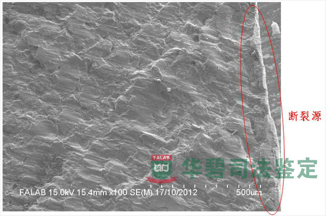金屬接骨板SEM圖像斷面解理斷裂
