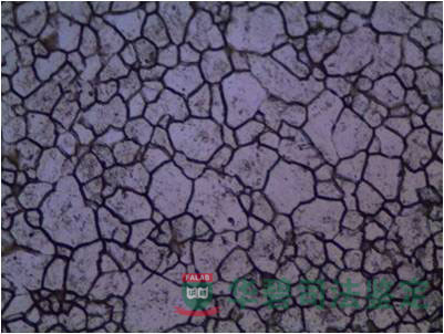 晶粒度測(cè)量圖片
