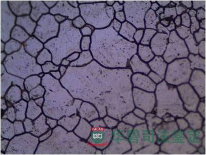 晶粒度測(cè)量圖片1