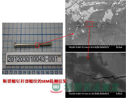 斷裂螺釘桿部螺紋的SEM檢測(cè)結(jié)果