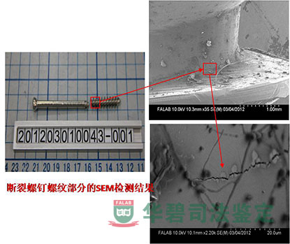 斷裂螺釘螺紋部分的SEM檢測(cè)結(jié)果