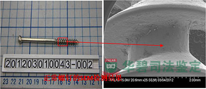 正常螺釘?shù)腟EM檢測(cè)結(jié)果