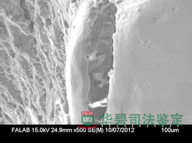 斷口掃描電子顯微鏡（SEM）觀察