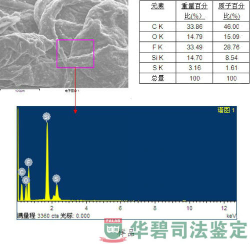 樣品能譜圖片