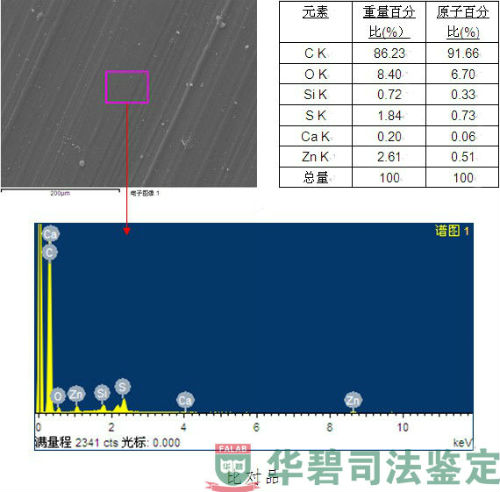 輥道密封能譜圖片1