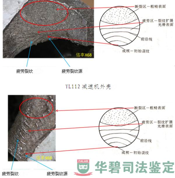 減速機(jī)體視顯微鏡觀察