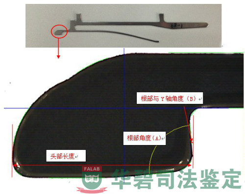 測(cè)量位置示意圖