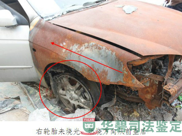 現(xiàn)場勘驗涉案車輛5