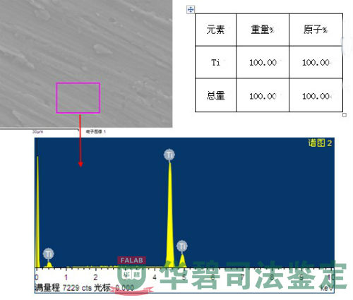 檢材能譜