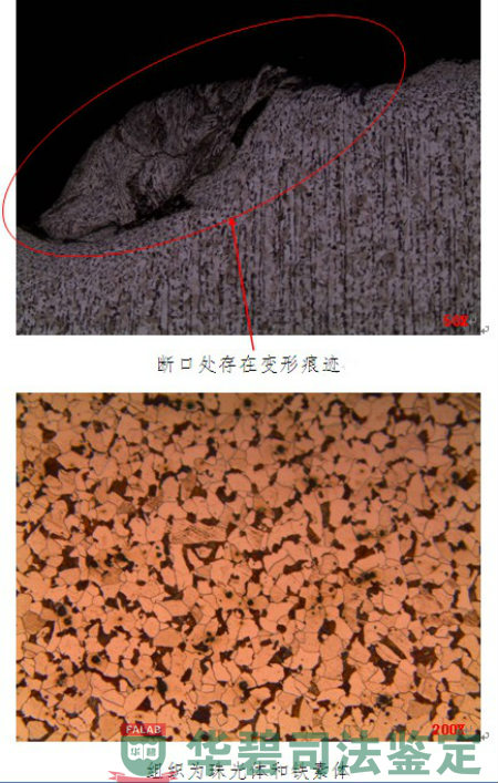 門框軸檢材金相觀察