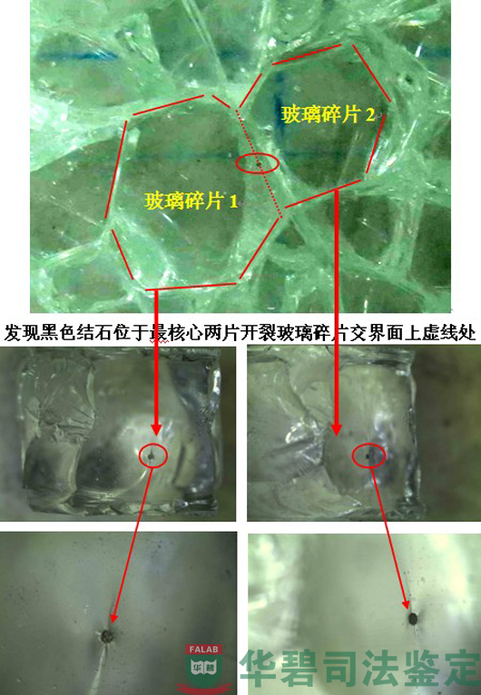 玻璃顯微鏡觀察