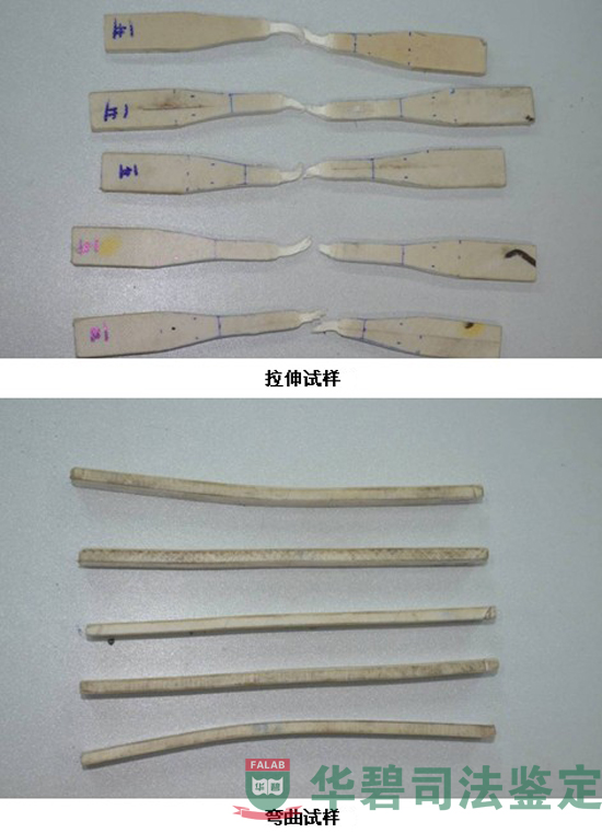 物理機械性能檢測代表性照片