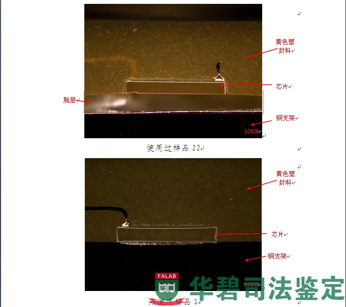 圖7：切片分析圖片